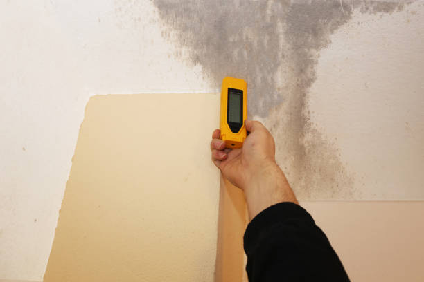 Best Water Damage & Mold Remediation  in Monmouth, OR