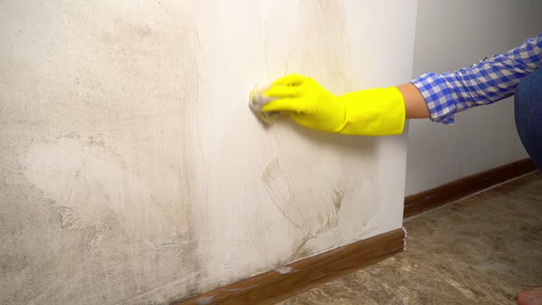 Best Mold Prevention Services  in Monmouth, OR